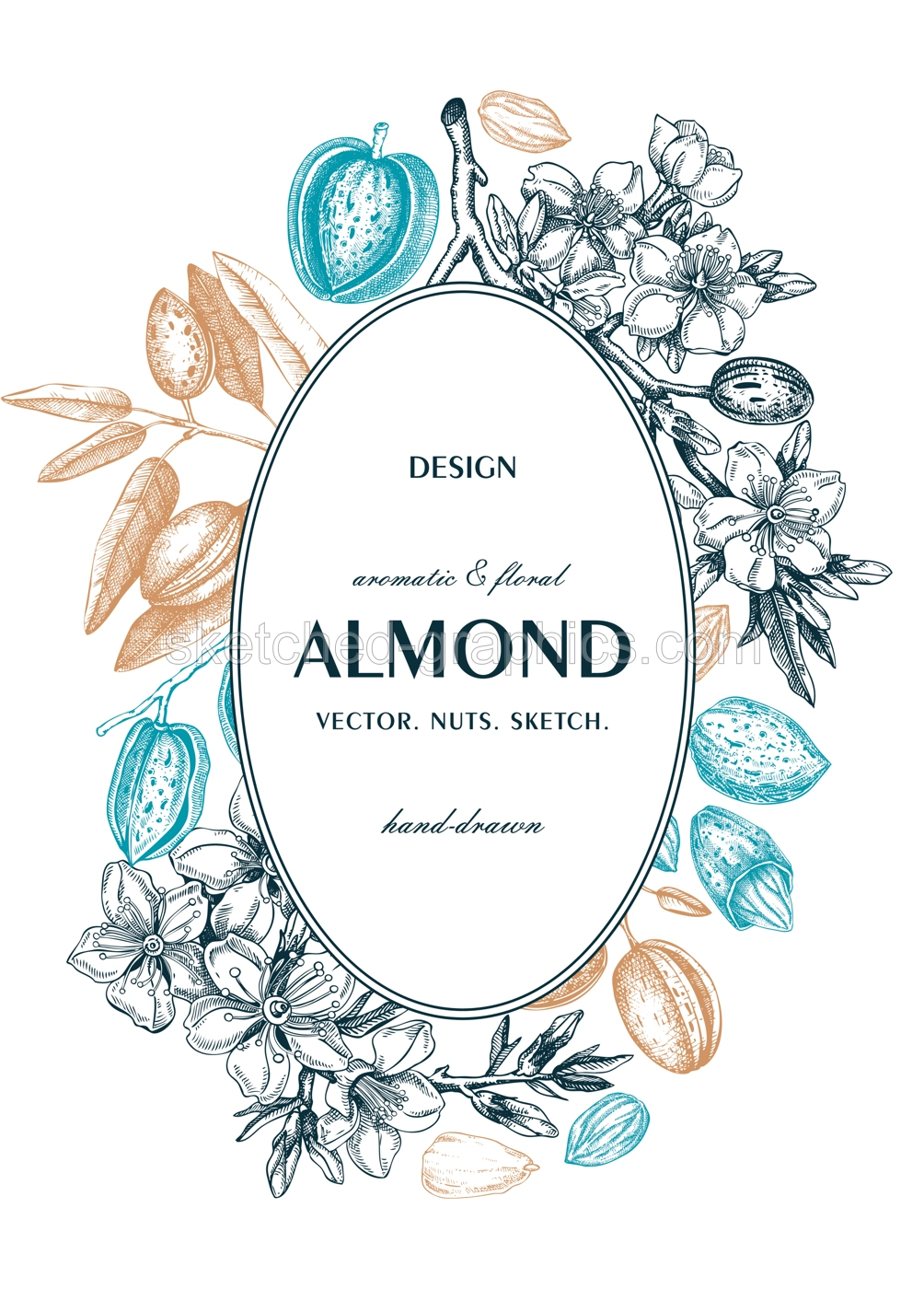 Almond nut wreath design.Blooming branches, nuts, flower sketches. Hand-drawn vector illustration. Botanical background. NOT AI generated Illustration
